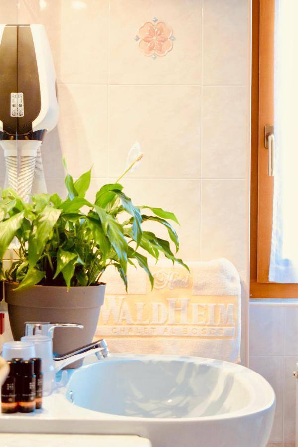 Hotel Waldheim Sarnonico Εξωτερικό φωτογραφία