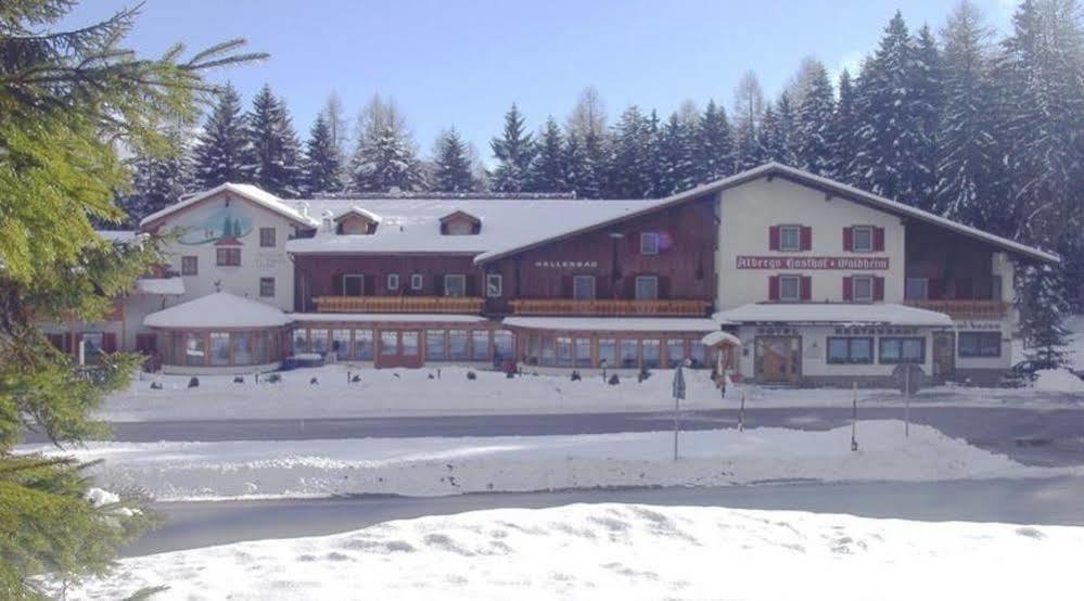 Hotel Waldheim Sarnonico Εξωτερικό φωτογραφία